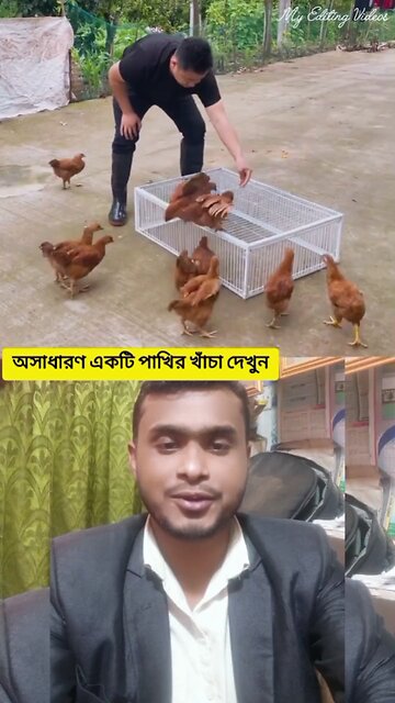 অসাধারণ পাখির খাঁচা #shorts #viralshorts #পাখিরখাচা