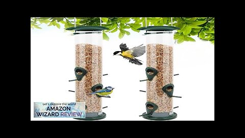 Vivace Bird Feeder 2 Pack Classic Tube Bird Feeders for Outdoors Hanging Review