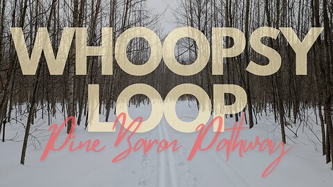 Whoopsy Loop on the Pine Baron, Snowy Winter Hike | Full Hike POV | Hiking ASMR | Gaylord, MI