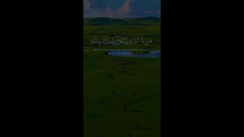 Qurantiweit Quran best short videos