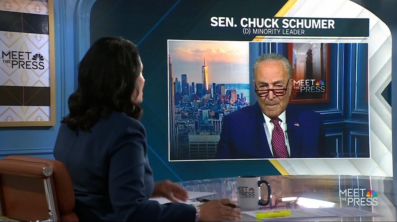 Dems Lost Because Americans Didn't Realize How Much We Did For Them: Schumer