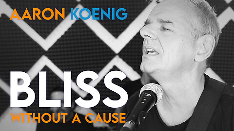 Aaron Koenig: Bliss Without a Cause