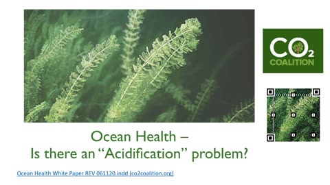 Is CO2 Acidifying Our Oceans? (10/24/24)