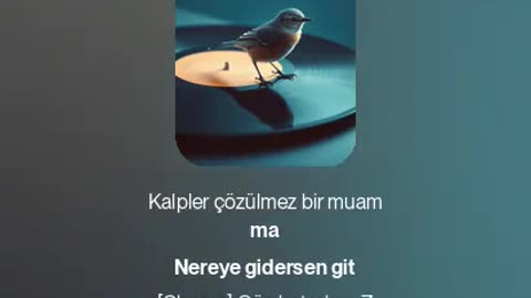 Gün Batarken Z Kuşağı