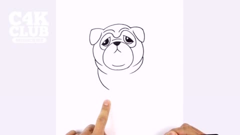 How to Draw a Dog Pug Drawing Lesson