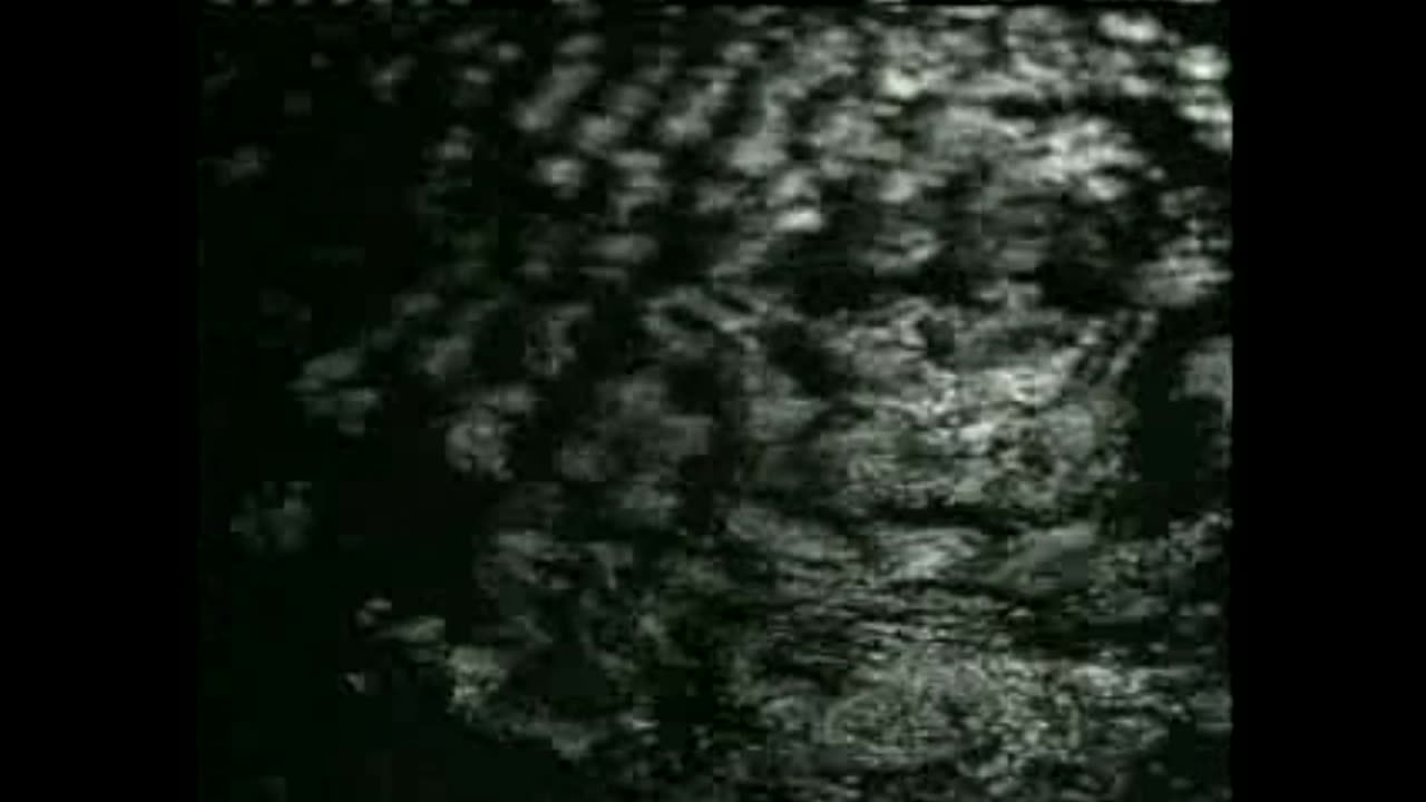 Amok Edict Edifice - Nocturnal Emissions