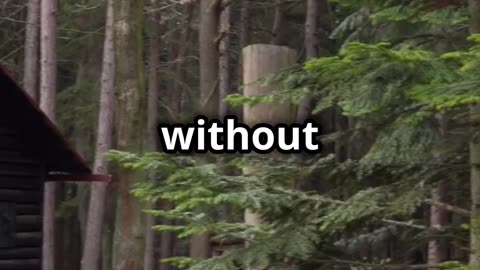 Surviving Off Grid Must Have Tech for Preppers #prepping #shtf #shtfsurvival