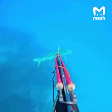 Calm under extreme pressure 😱