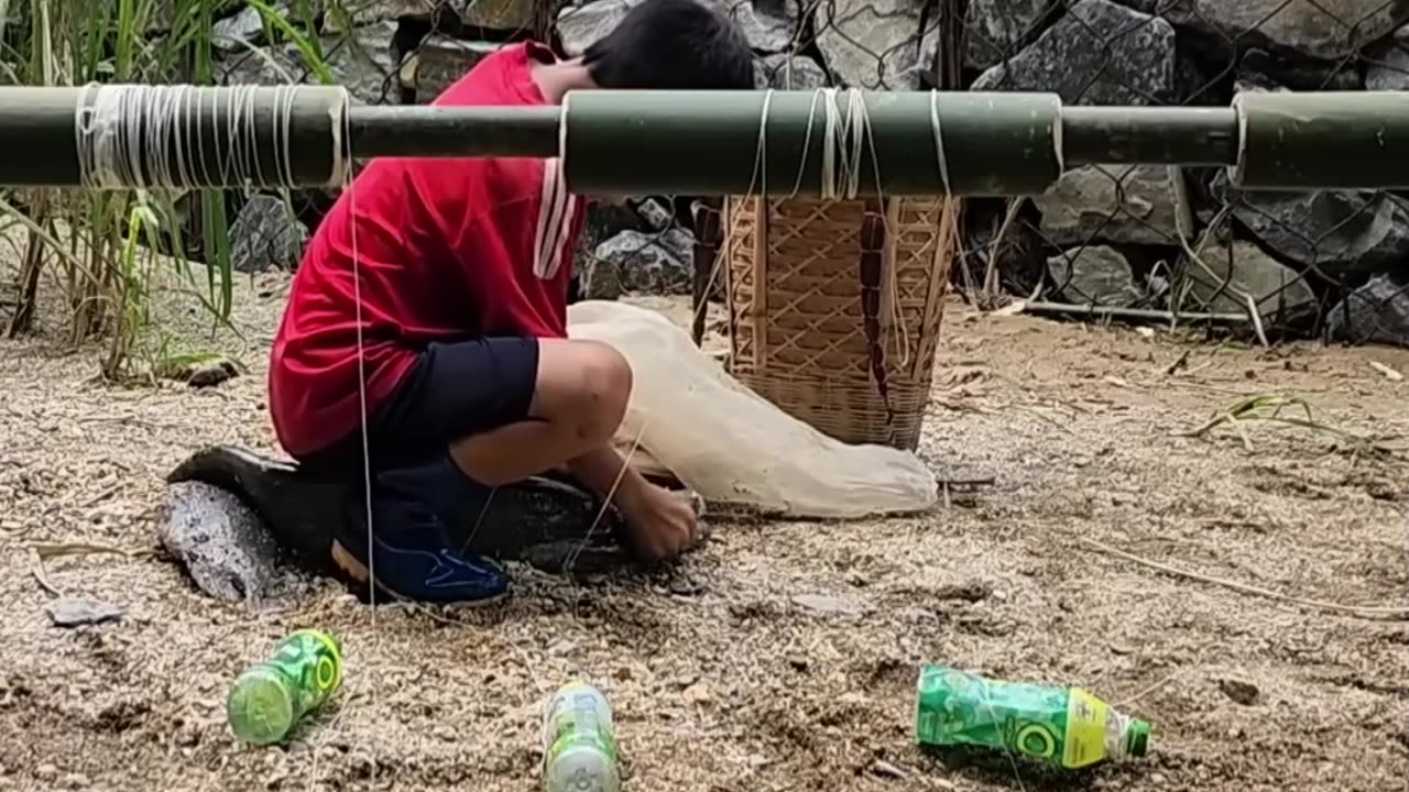 Small Fish Trap||Orphan Boy Fishing Skills||Fishing Techniques|Survival Video|2025