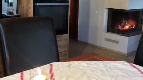 Molnár Zengő napi vlog 2024. december 15. | Molnár Zengő 🇭🇺
