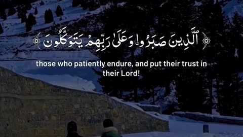 Beshak 💯♥️✨🕊️