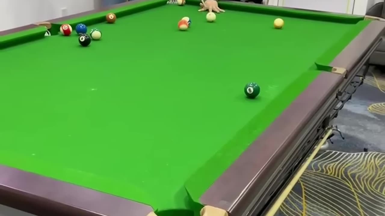 Funny Video Billiards