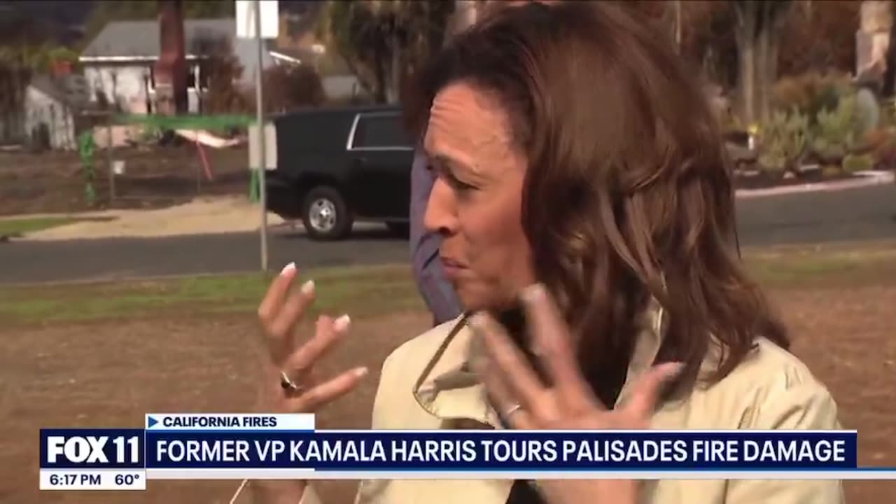 Kamala Harris is asked for her thoughts on the LA fires