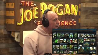 ROGAN: “It’s over … Trump’s gonna make being woke literally illegal.” 😂