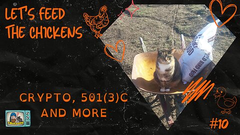 Crypto, 501(3)C and more | Let's Feed the Chickens | E10