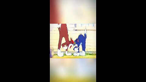 tom and Jerry😼🐭 old funny🤣 vid