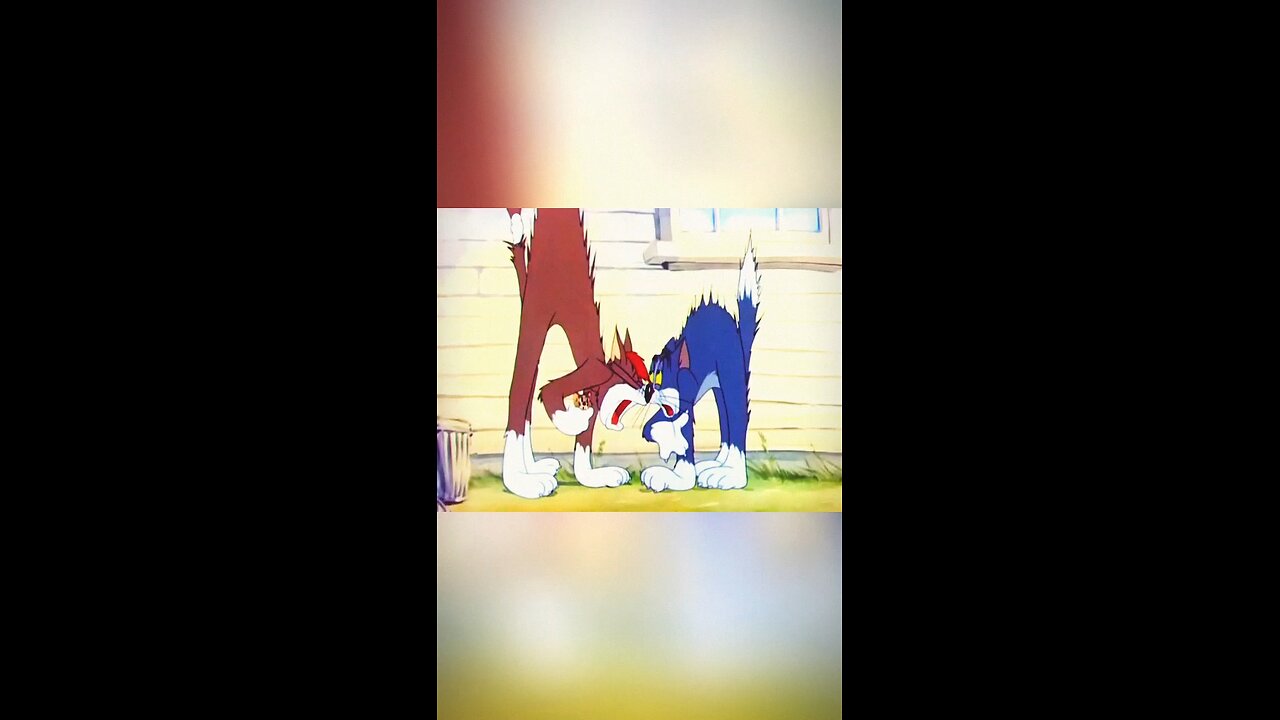 tom and Jerry😼🐭 old funny🤣 vid