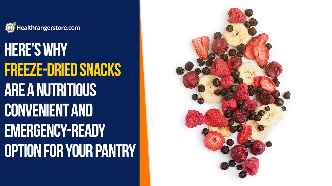 : Here’s why Freeze-Dried Snacks are a nutritious