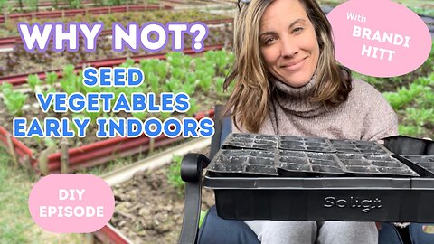 WHY NOT: Seed Vegetable Plants Early Indoors