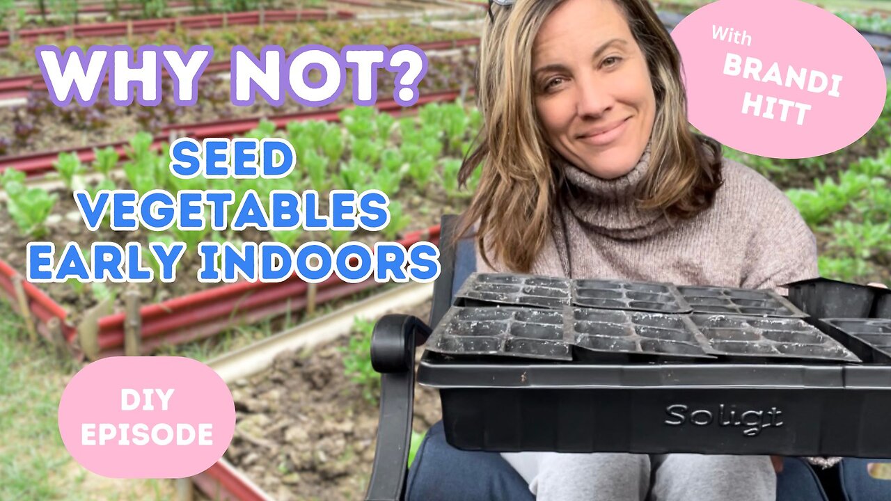 WHY NOT: Seed Vegetable Plants Early Indoors