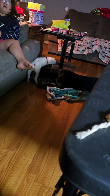 I was Surprised 😄😄