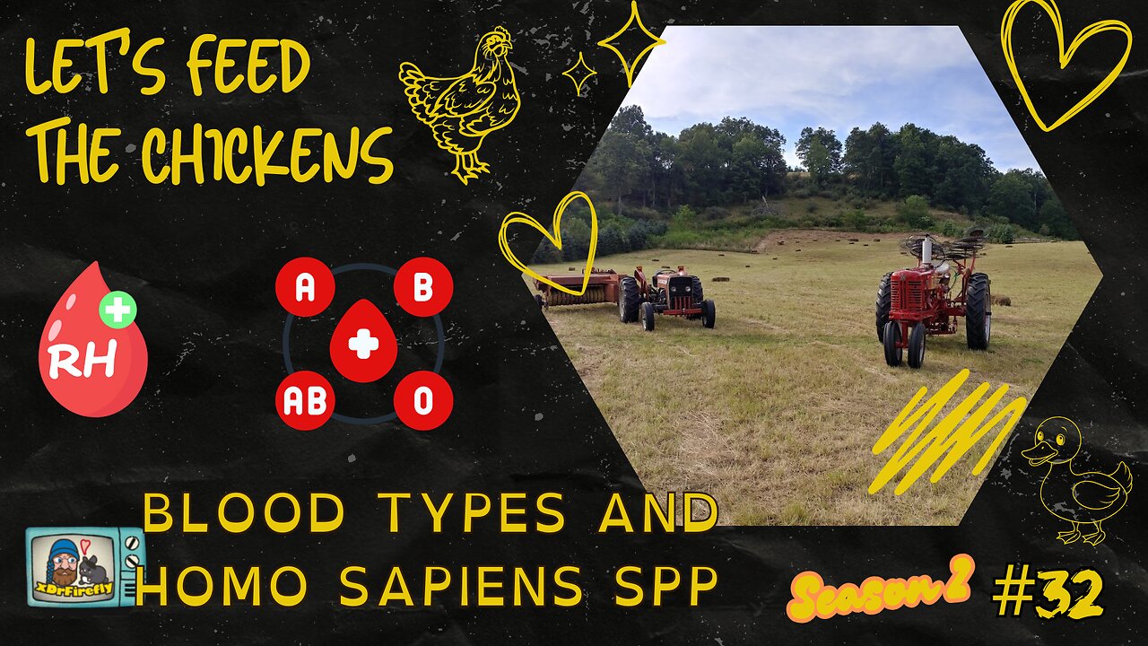 Blood Types and Homo sapiens spp | Let's Feed the Chickens | E32