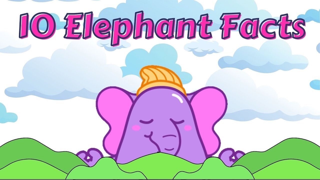 10 Elephant Facts for Kids