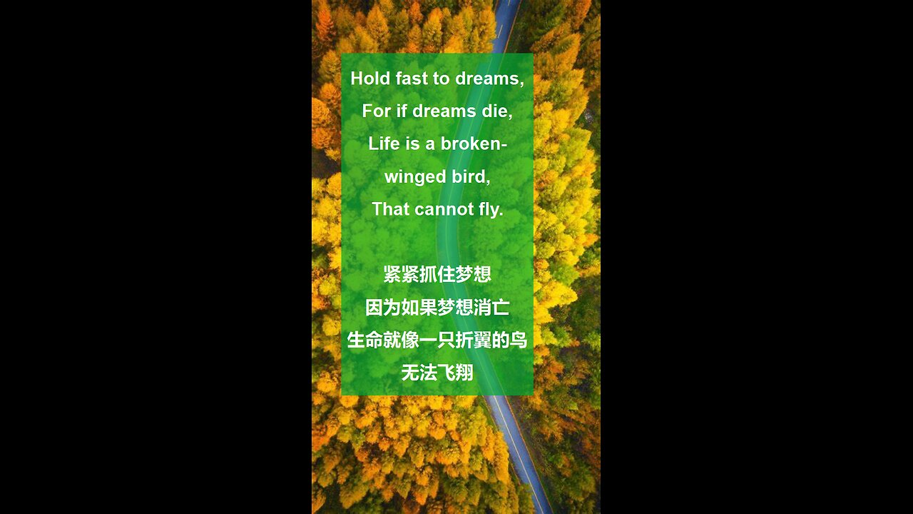 Hold fast to dreams,For if dreams die,Life is a broken-winged bird,That cannot fly.紧紧抓住梦想,因为如果梦想消亡,生命就像一只折翼的鸟,无法飞翔。