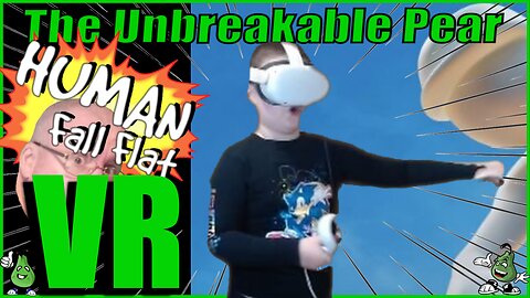 Can we play Humans fall flat VR?