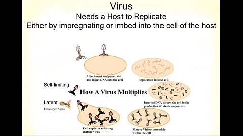 virus benefits