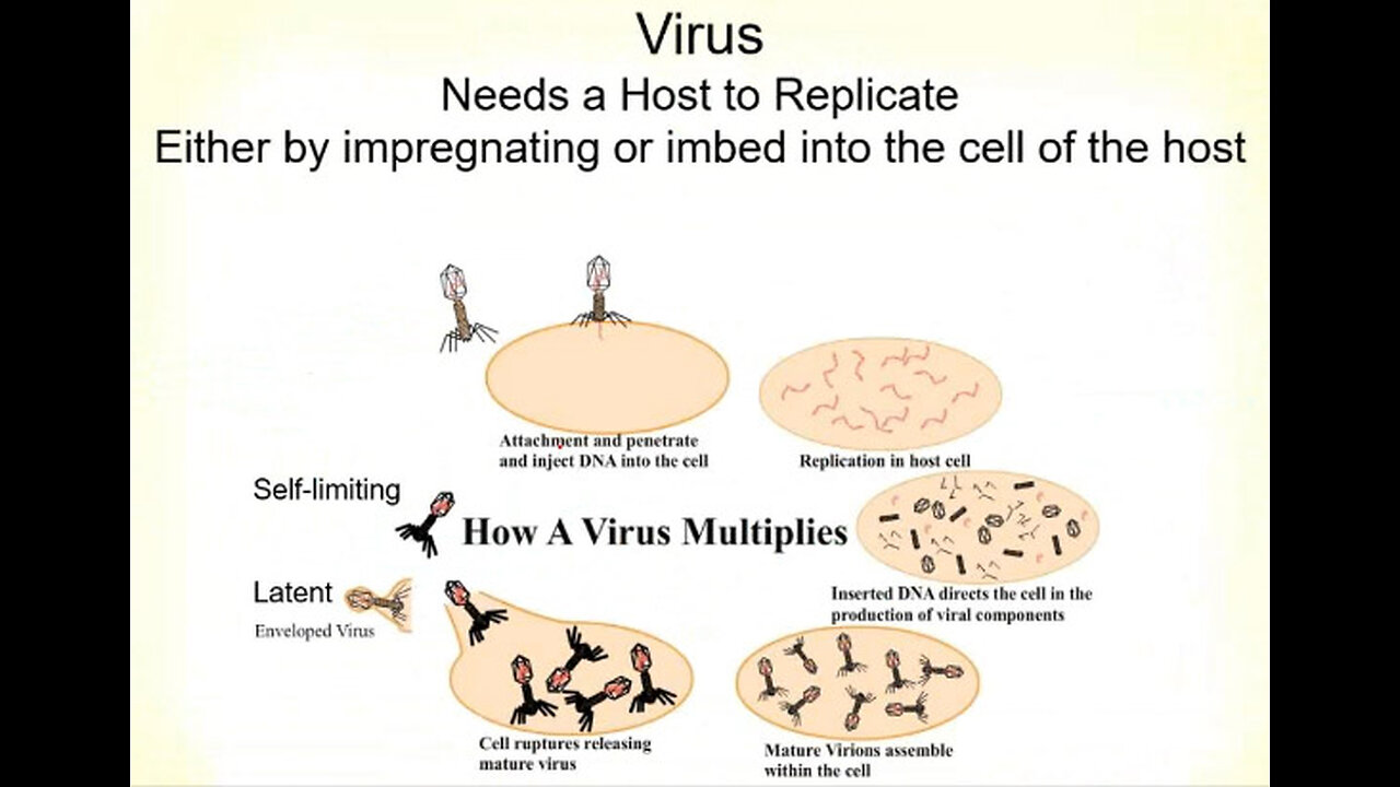 virus benefits