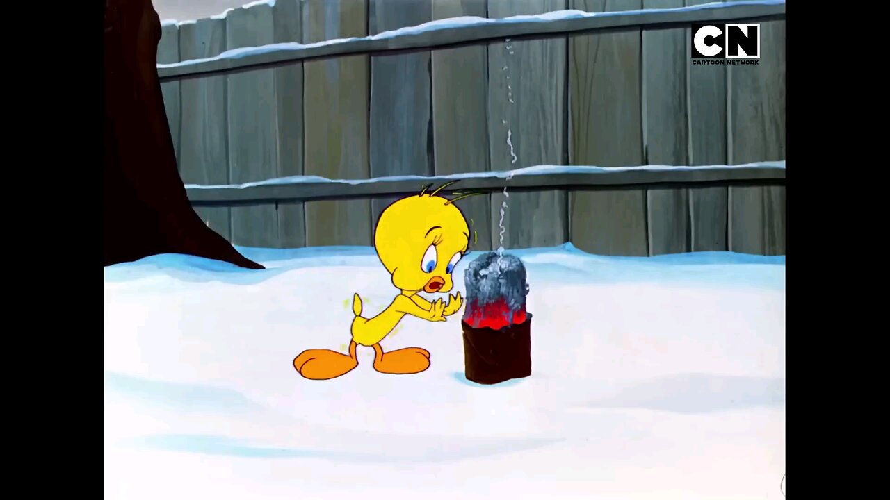 Looney_Tunes🐰__Non-stop_Fun_🤩__The_Wacky_World_of_Looney_Tunes!_🐰___90s_Cartoons___90s___@