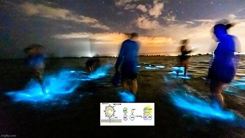 BIOLUMINESCENCE AND ☤ THE COVIDIOCRACY