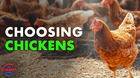 This Podcast About Choosing Chickens May Just Change Your Life!