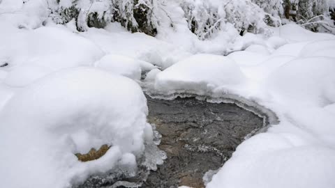 Sweden nature