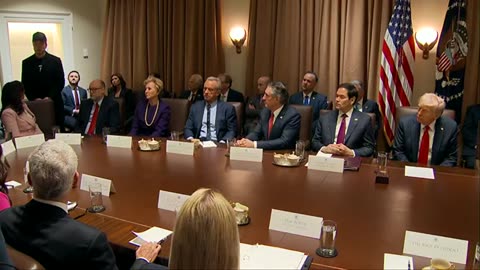 President Donald Trump and Elon Musk attend Cabinet meeting