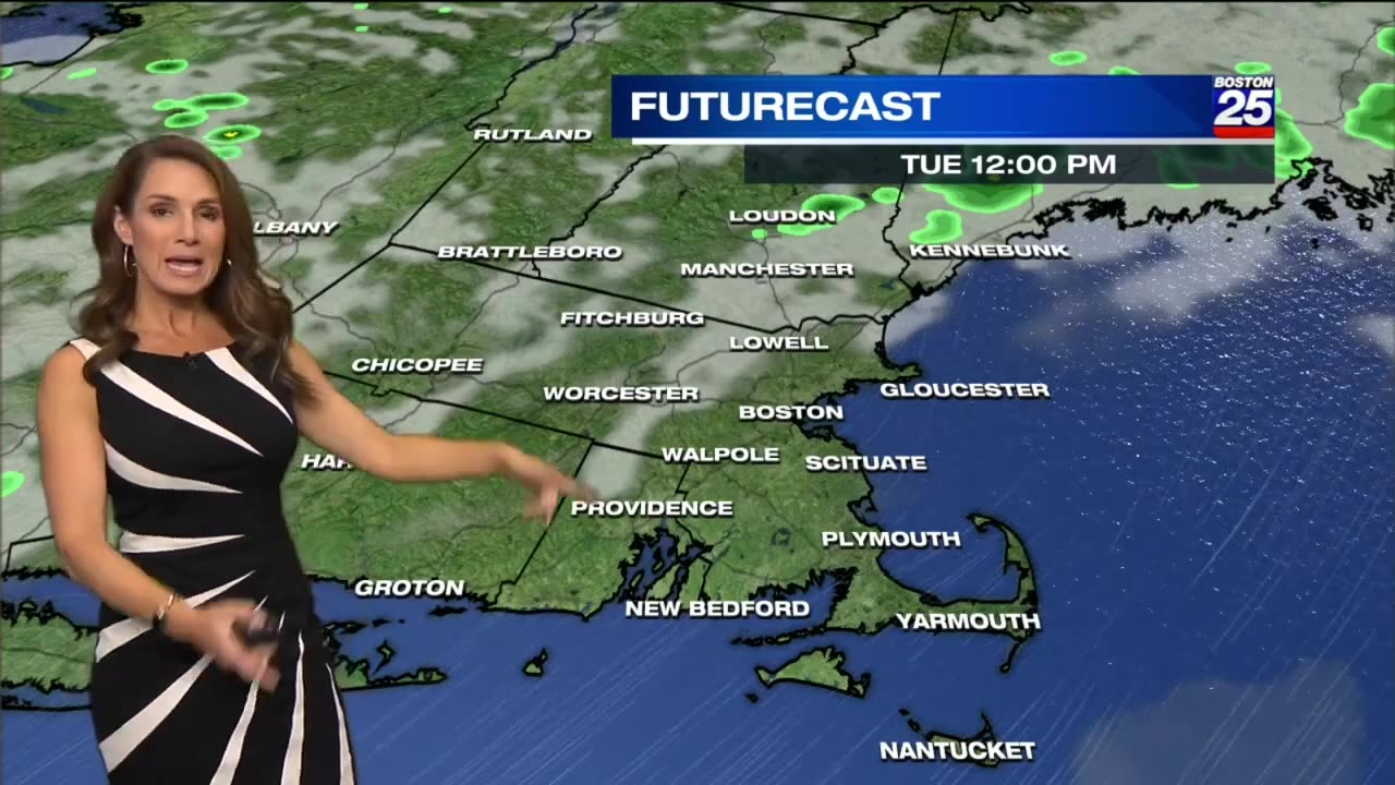 Shiri Spear 😻Zebra!!😻 - July 12, 2022