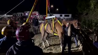 Horse airlifted to safety in Orange County after slipping off embankment