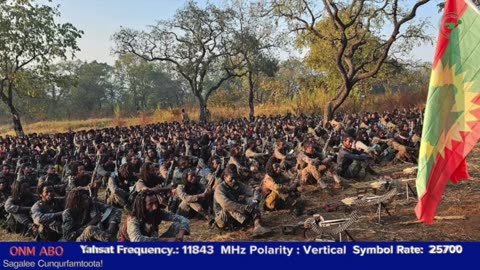 Gabaasa Tarkaanfii ONM-ABO Amajjii 23-2025 itti dhiyaadhaa!