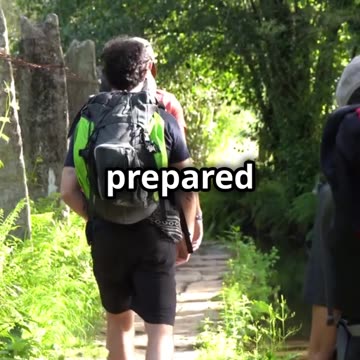 What to Do If You Encounter a Mountain Lion