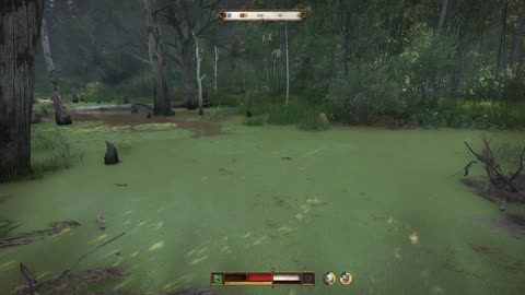 Relaxing Swamp with Swamp noises