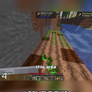 Creating Our Dream Garden: From Seeds to Sustainability