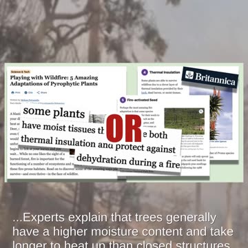 Fact Check: Wildfires DON'T Always Burn Trees Along With Cars