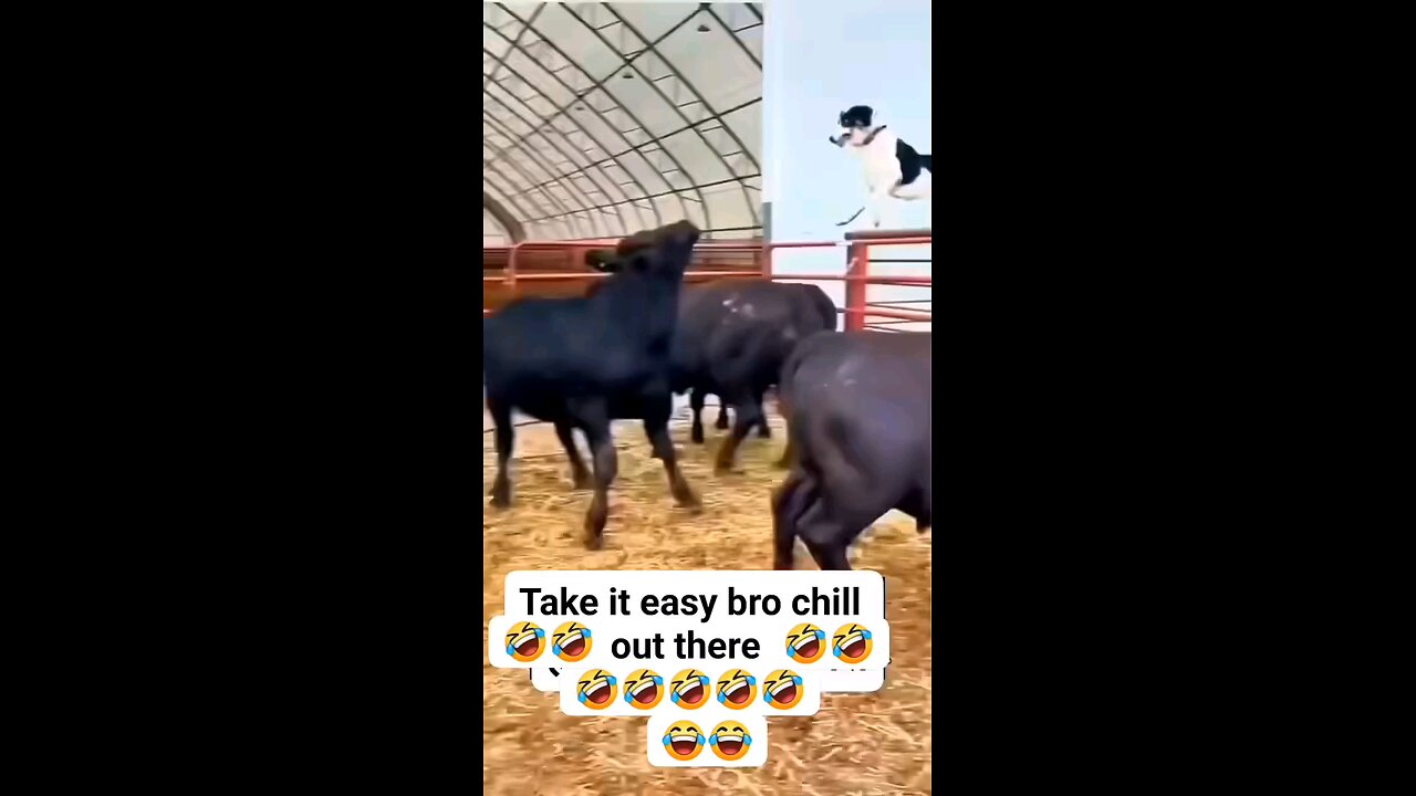 take it easy bro