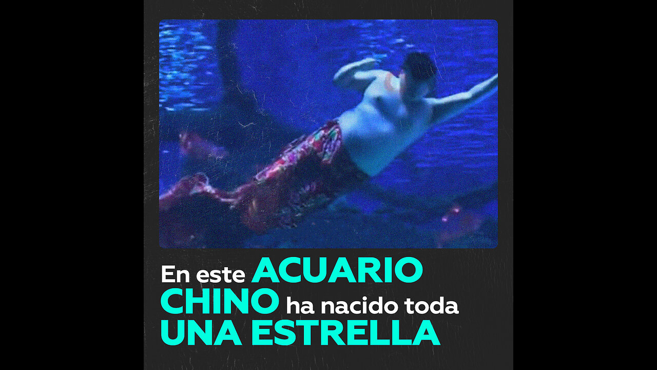 Hombre-sirena barrigudo acapara las miradas en acuario chino