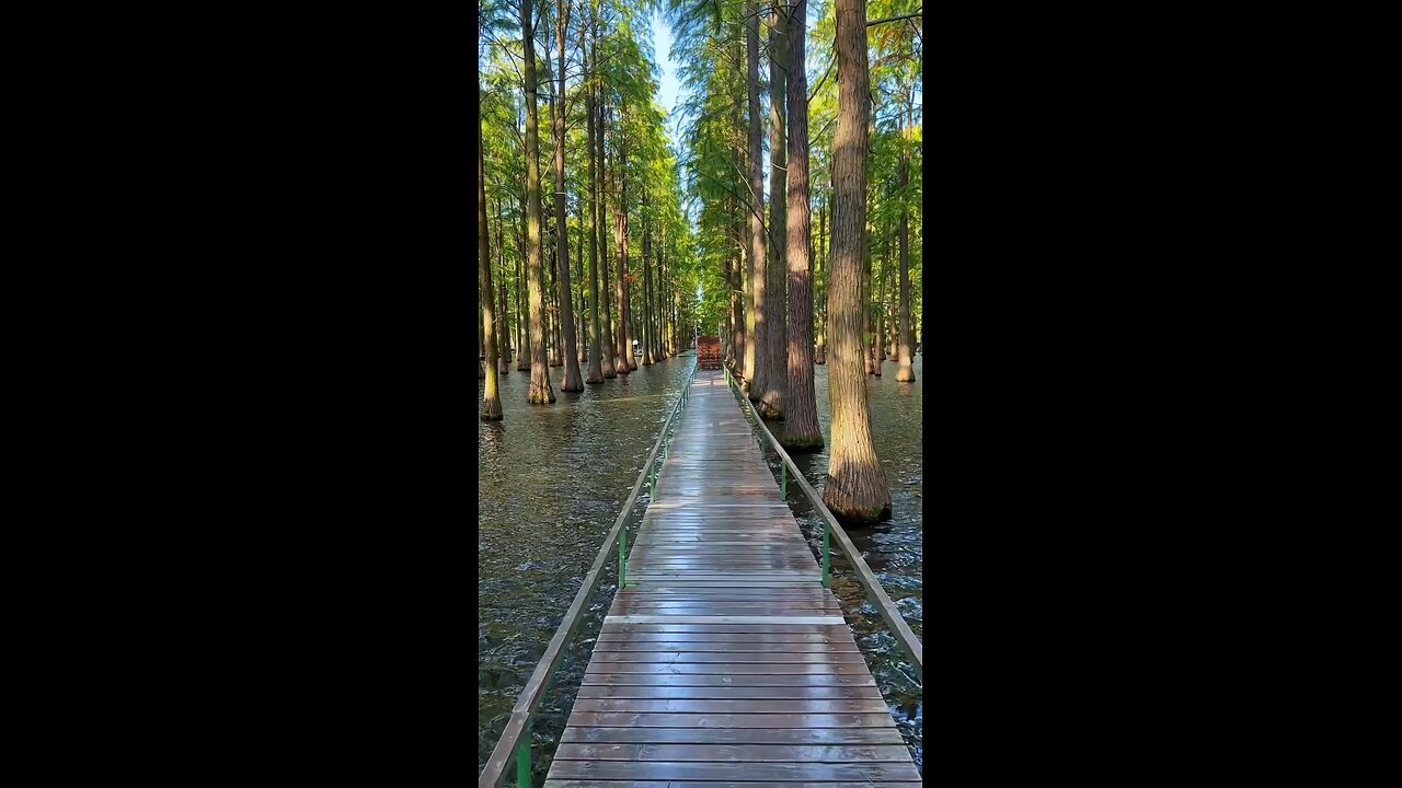 Nature View