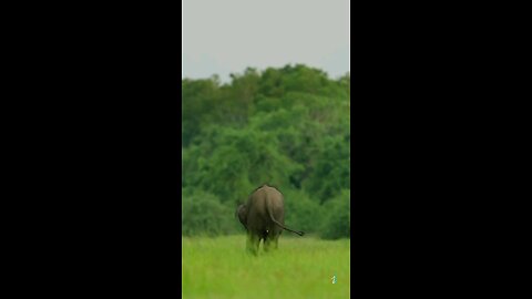 sri lanka 🇱🇰