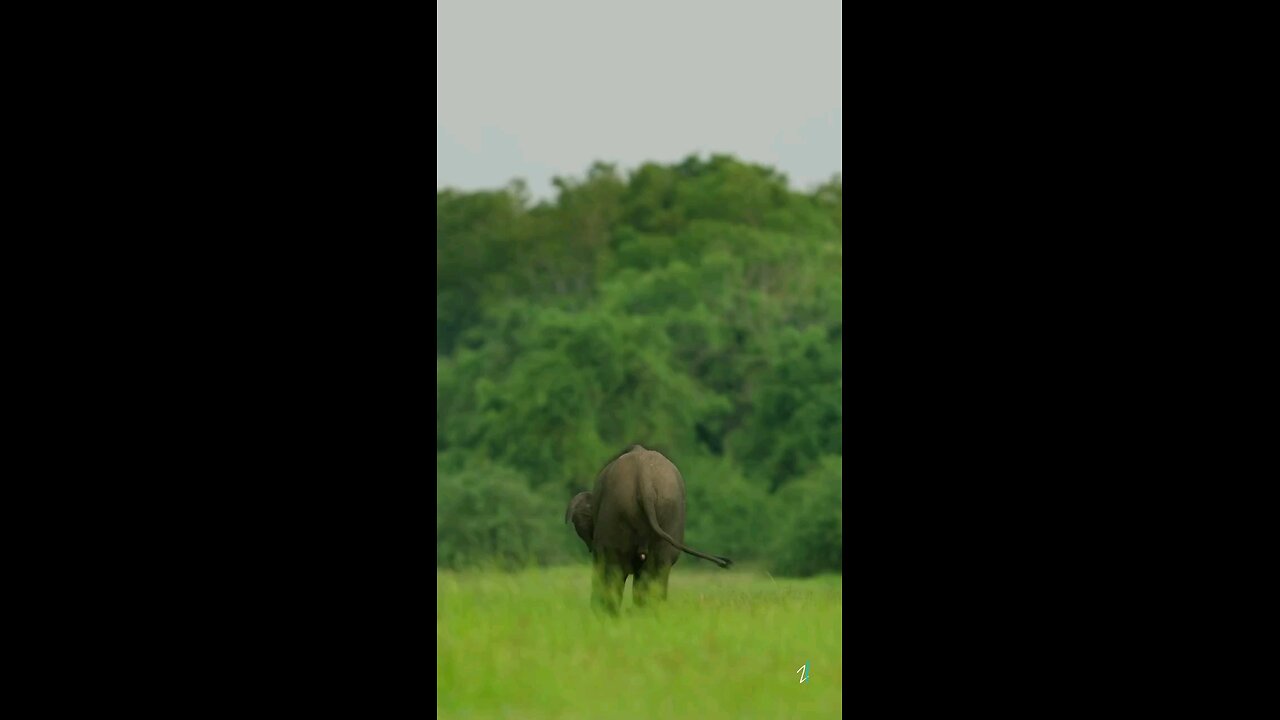 sri lanka 🇱🇰