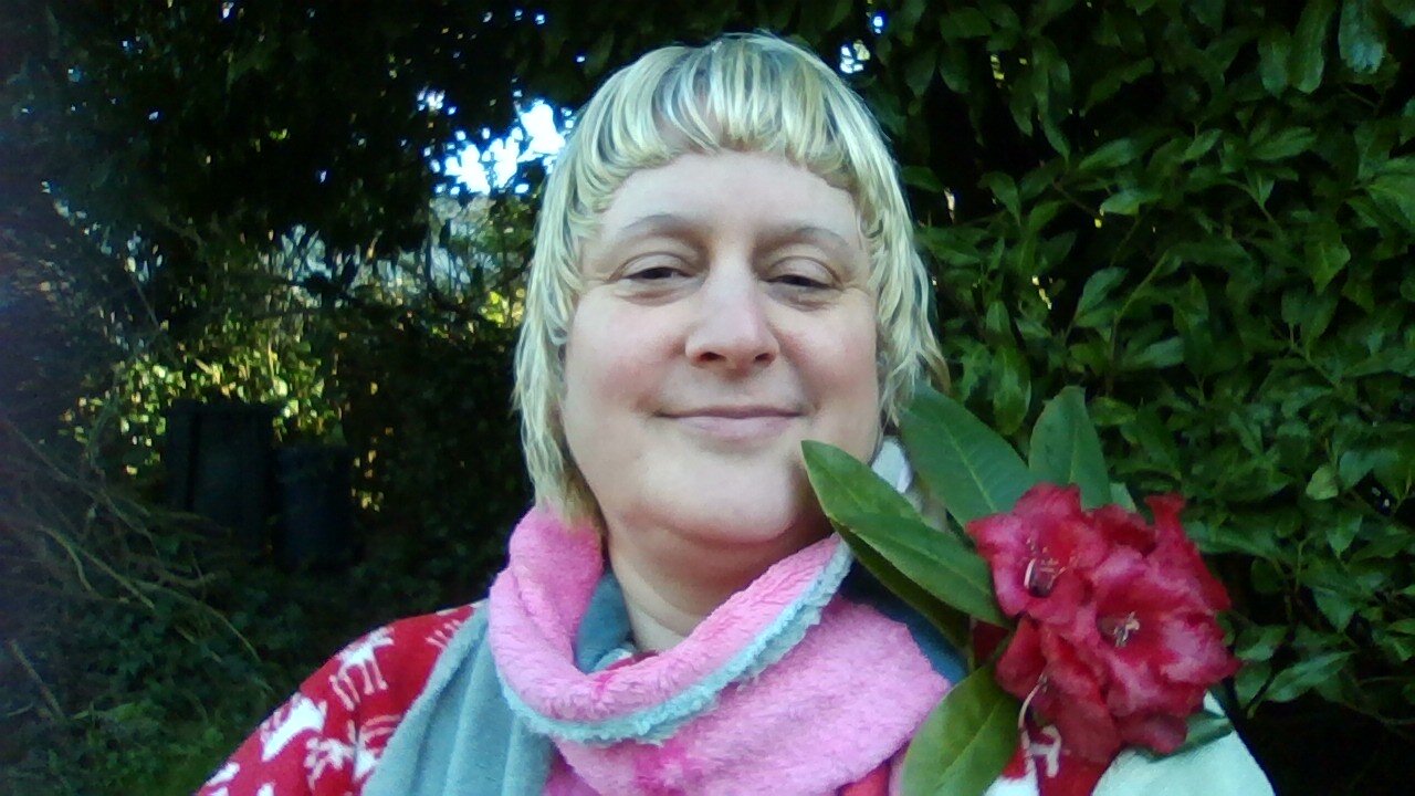 The first Rhododendron Flower of the year 2025