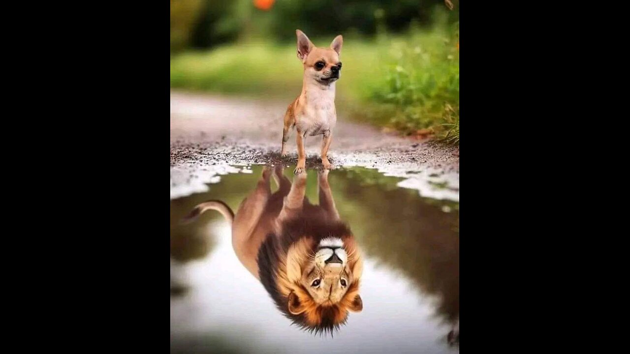 Lighting Test March 8, 2025